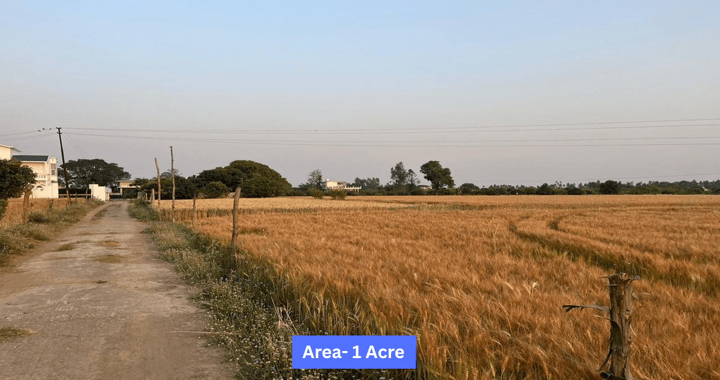 Buy Now 1 Acre Land Near Nayagaon, Opposite Corbett Falls, Kaladhungi
