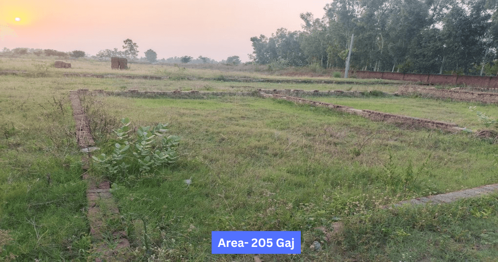 Buy Now 205 Gaj Plot Near Dohra Road, Bareilly