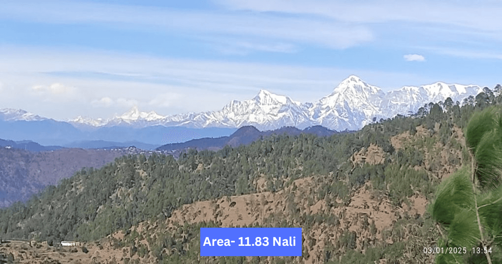 Buy Now 11.83 Nali Land Near Saliyakot Anerpa Road, Mukteshwar